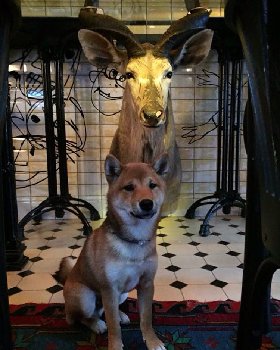 убойное фото Шанта!!! ржу,,,