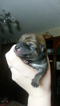 пт 13-ое под созвездием Скорпиона!