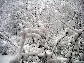 Нужно &quot;добавить вложение&quot;, выбрать картинку и подписать. Так же вставить фото с компа.