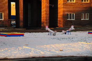 DSC_9033.JPG