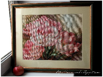 Трио тюльпанов.jpg