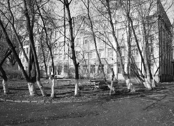 image001.jpg