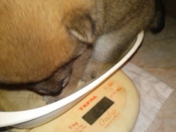 взвешивались в прошлый вторник!