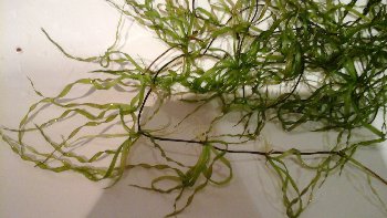 20151227_142546.jpg