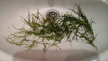 20151227_142540.jpg