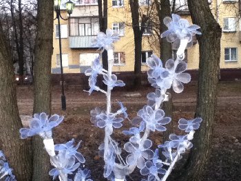 IMG_3090.JPG