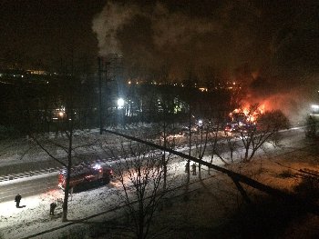 Фото Дианы Раданович. 03.01.2016 г.