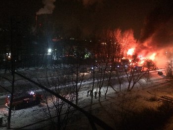 Фото Дианы Раданович. 03.01.2016 г.