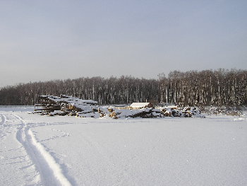 P1160684.JPG
