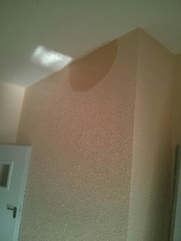 IMG_20160204_113416.jpg