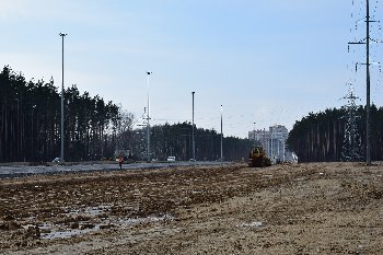 20.02.2016.Участок возле СНТ Бережки.