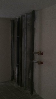 IMG_3873.jpg