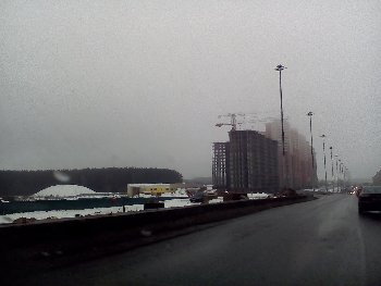 IMG_20160305_160240.jpg