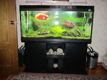 IMG_0657.JPG