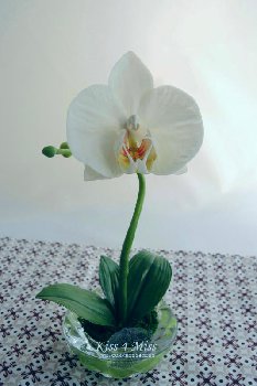 2016-02-24 00.07.26.jpg