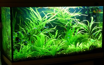 Так радует сейчас)