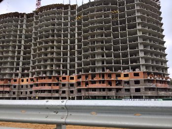 WP_20160415_09_47_47_Rich.jpg
