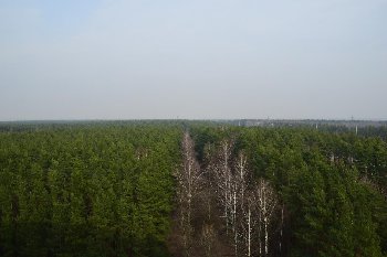 DSC_0627.JPG