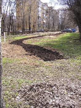 P1010788.JPG