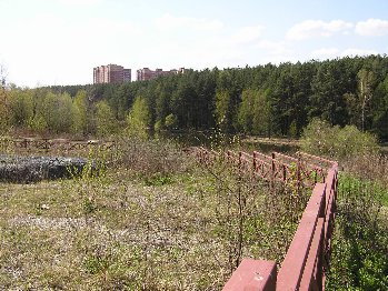 P1010820.JPG