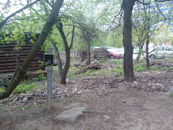 IMG_20160505_081522[1].jpg