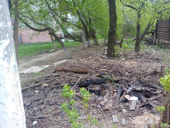IMG_20160505_081443[2].jpg