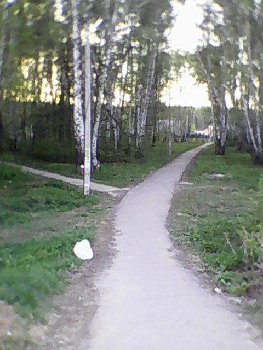 Белое пятно внизу - пакет с мусором!