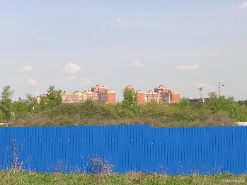 14826.jpg