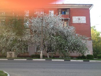 IMG_3264.JPG
