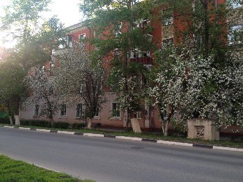 IMG_3266.JPG
