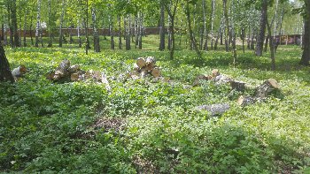 IMG_20160515_125012.jpg