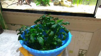 IMG_20160519_221948.jpg
