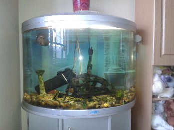 20160530_115722.jpg