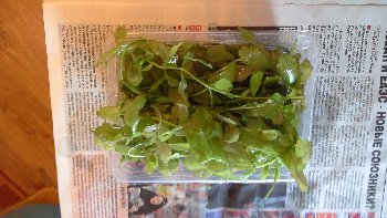 20160530_121638.jpg