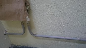 DSC_0045.JPG