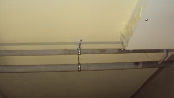 DSC05905.JPG
