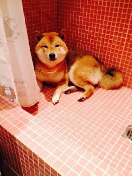 парню жарко в шубе, ушел на холодный пол