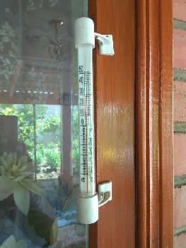 IMG_20160613_124912.jpg