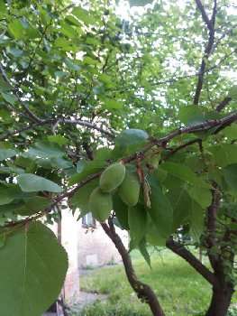 20160528_183201.jpg