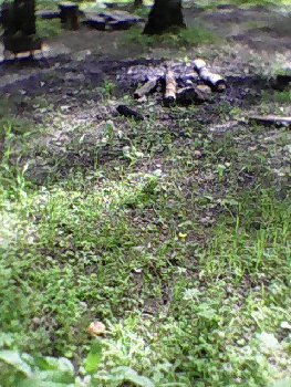 Внизу слева