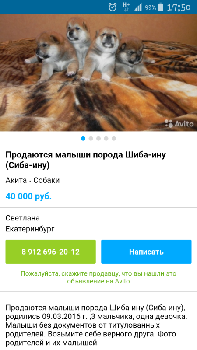 чужое фото под объявлением