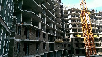 IMAG7029.jpg