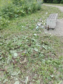 разному мусору - да, растениям полезным - нет!.jpg