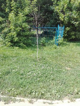 IMG_20160702_122231.jpg