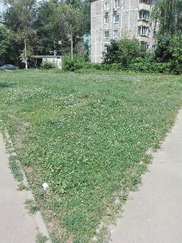 IMG_20160702_122238.jpg