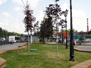P1010680.JPG