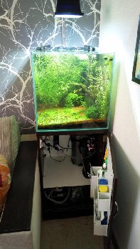 IMG_20160622_195847.jpg