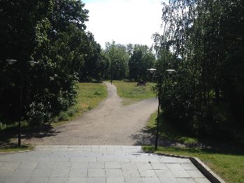 В парках городских асфальт не кладут, дорожки сделаны из мелкого камушка гранита