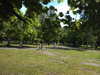 Деревья в парке, дети на лужайке, дорожки природные
