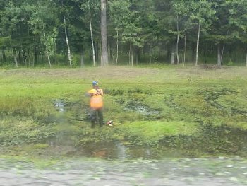Фото взято из группы &quot; За траву! Против антиозеленителей&quot; (с) -- косят болото!!